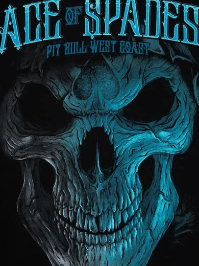 PB/WC Sweater Blue Skull - Slika 3