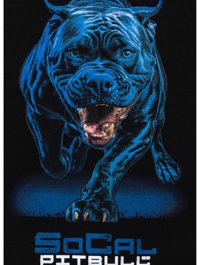 PB/WC Duks In Blue - Slika 4